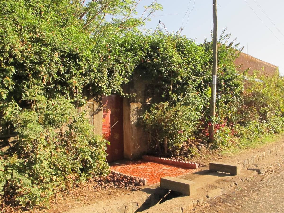 B&B The Annex Bahir Dar Eksteriør bilde